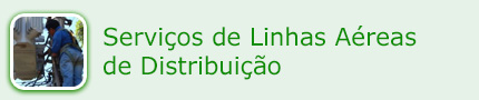 Serviços de Linhas Aéreas de Distribuição